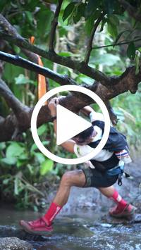 BIB:  <button type="button" onclick="openModal(27825322)" class="btn btn-primary btn-sm float-right" data-toggle="modal" data-target=".modal-high-quality">
                <i class="fa fa-download"></i> Download
                </button>